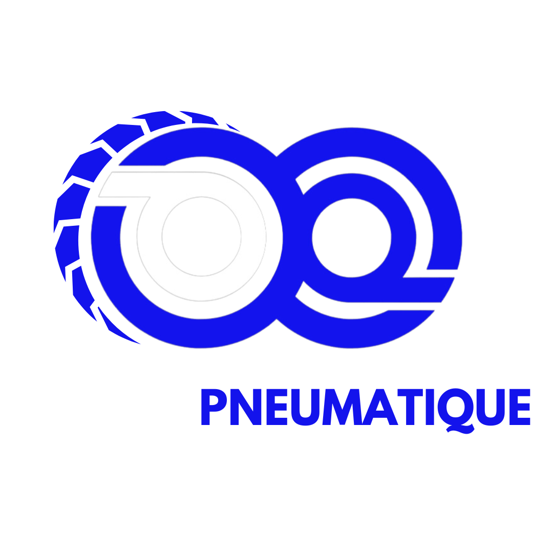 Dakar pneumatique